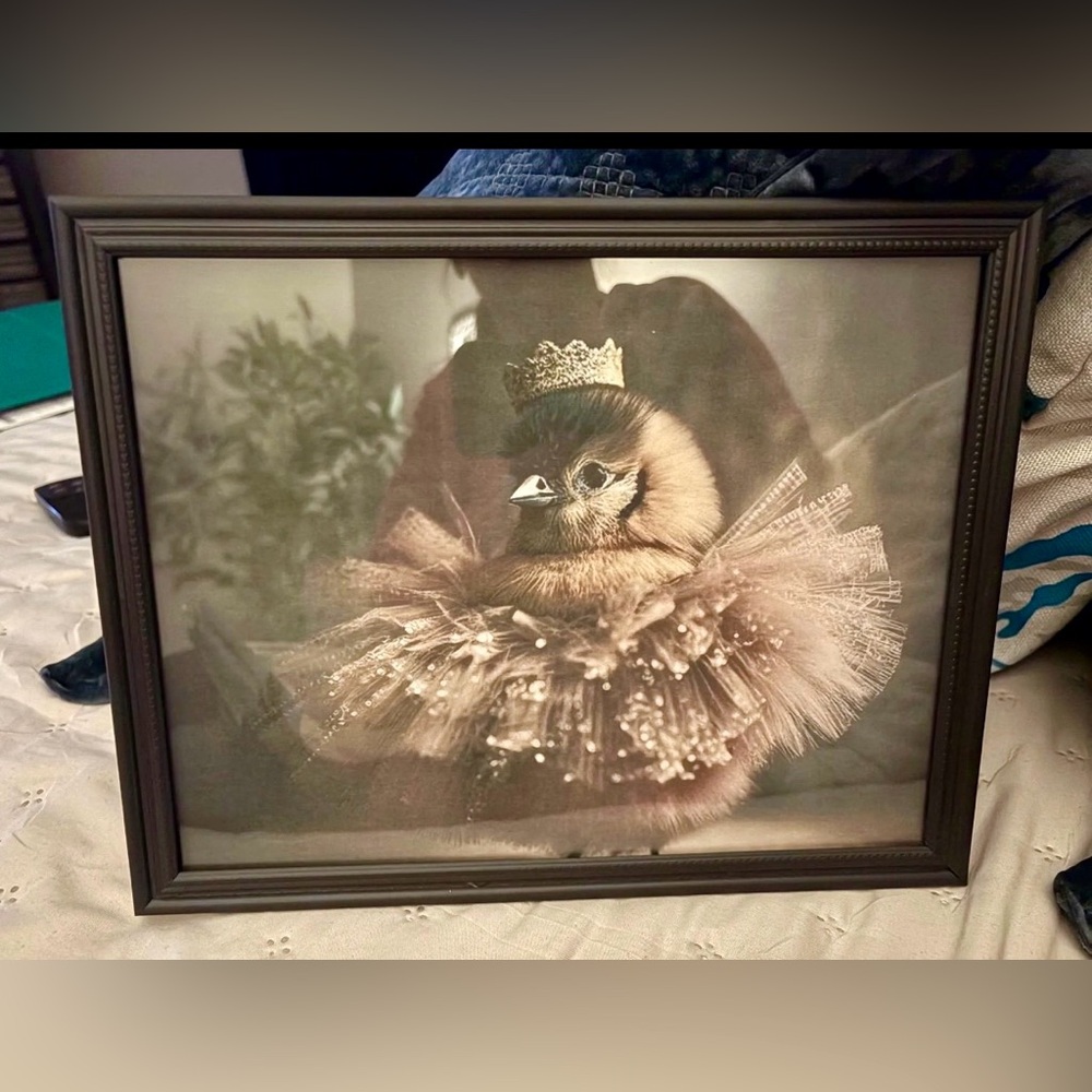 Cute framed 8x10 ballerina chick print with crown